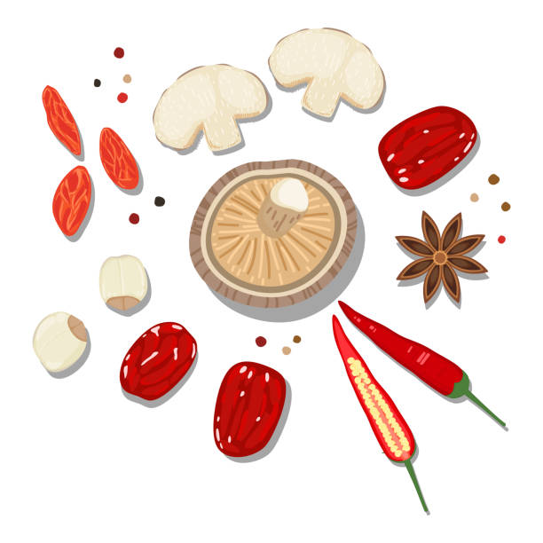 beautiful Flat Lay Food style vector illustration of  ingredient, isolated on white background. Chinese traditional herb. mushroom, red dates, goji berry,lotus seed, red chili, star anise, pepper beautiful Flat Lay Food style vector illustration of  ingredient, isolated on white background. Chinese traditional herb. mushroom, red dates, goji berry,lotus seed, red chili, star anise, pepper star anise stock illustrations