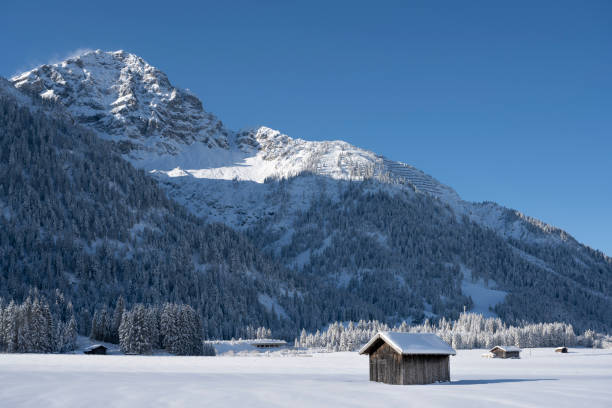 雪崩の障壁を持つ森林の山の前でチロルで晴れた冬の日に雪に覆われた小屋 - snow horizon winter shed ストックフォトと画像