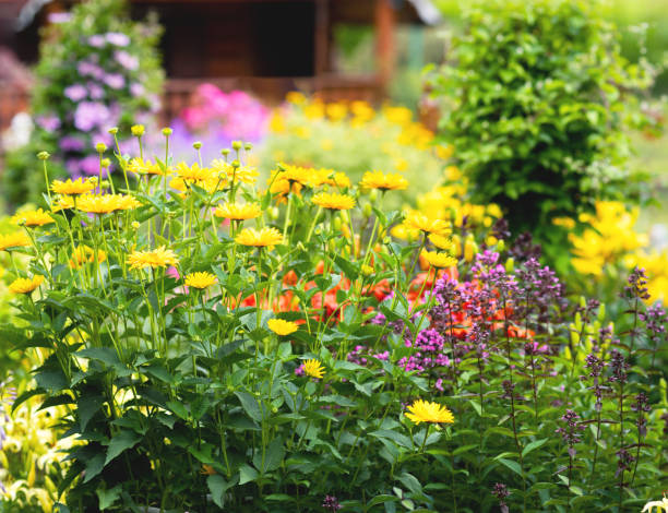 istock Beautiful garden with trees and flowers 1297078680