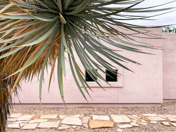 istock Southwest Plant and Architecture 1297080269