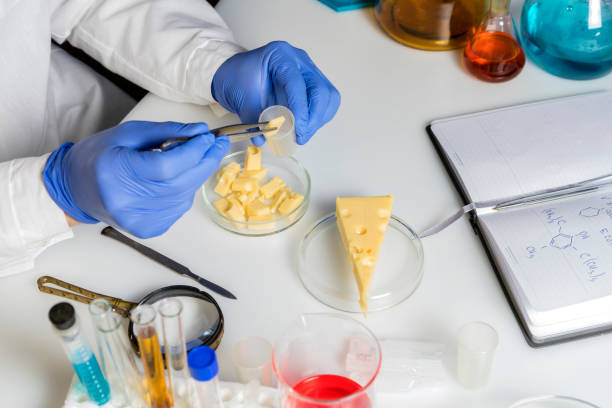 istock Food saferty Expert inspecting cheese in quality control laboratory 1297080349