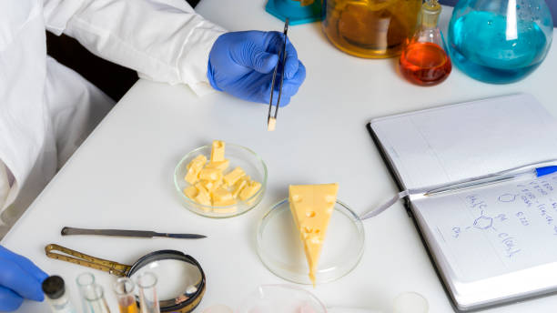 istock Expert hands inspecting cottage cheese with magnifying glass in quality control laboratory 1297080357