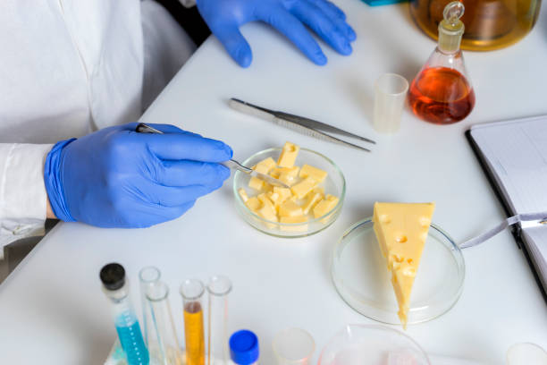 istock Food saferty Expert inspecting cheese in quality control laboratory 1297080367