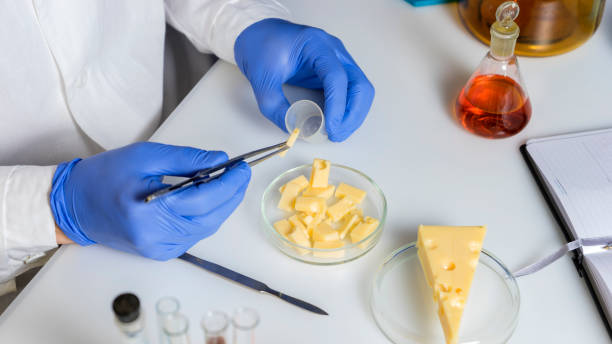 istock Food saferty Expert inspecting cheese in quality control laboratory 1297080412