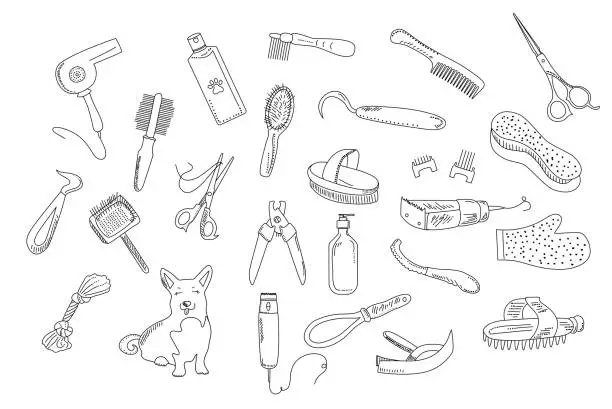 Vector illustration of Grooming tools for dog`s fur and nails care.Vector set in doodle style.Outline vet equipment.Online pet shop or store.Ordering goods for domestic animal from home.