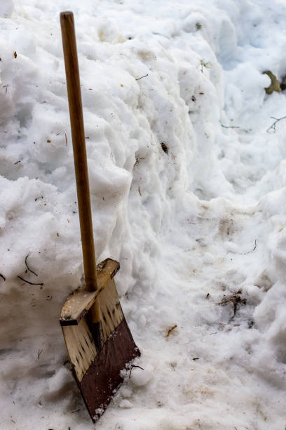 istock wooden shovel for snow removal 1297081633
