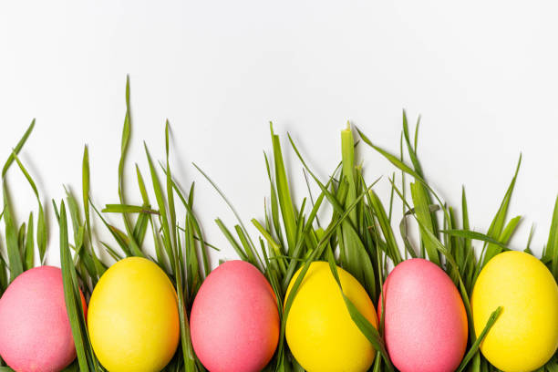 Excited and Happy Female Child and Millennial Mother Preparing Easter Eggs with Candy for Indoor Hunt Fun Matching 4K Video Available (Shot with Canon 5DS 50.6mp photos professionally retouched - Lightroom / Photoshop - original size 5792 x 8688 downsampled as needed for clarity and select focus used for dramatic effect)