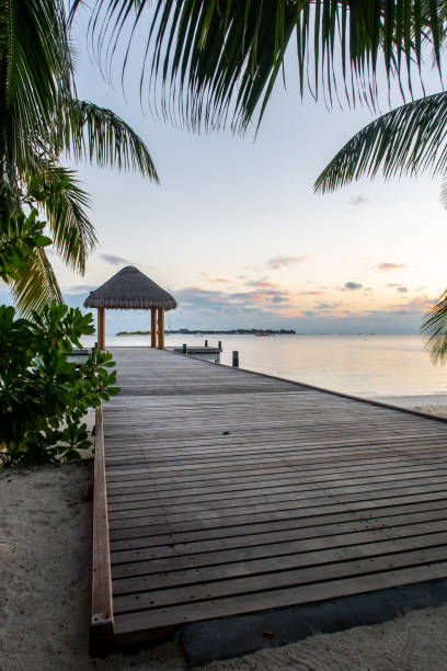 molo di legno che si estende nell'oceano con palme lussureggianti intorno e bungalow di paglia alla fine, maldive. - luxury hotel palm tree lush foliage asia foto e immagini stock