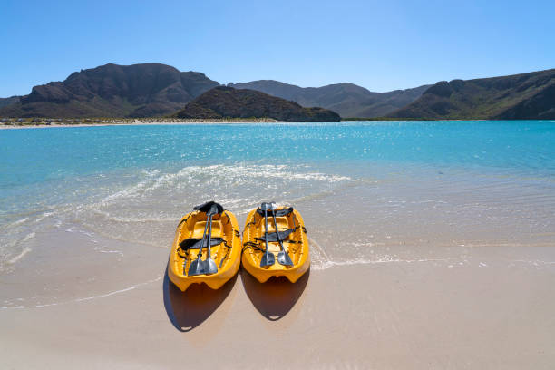 バランドラ ビーチ カヤック - kayaking kayak sea coastline ストックフォトと画像