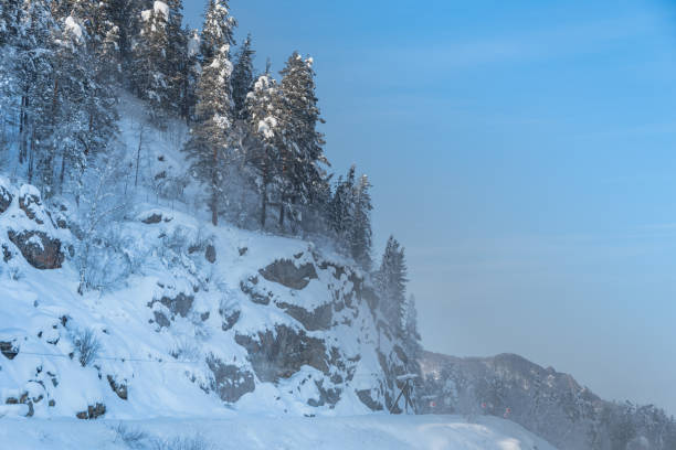 istock Winter pine forest on hillside. Frozen trees under snow 1297083450