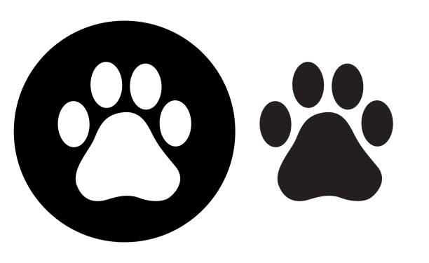 ilustraciones, imágenes clip art, dibujos animados e iconos de stock de icono de impresión de pata de círculo negro - cat paw print