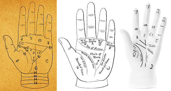 Palmistry hand and two antique etchings of palmistry diagrams.