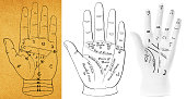 Palmistry Hand and Antique Diagrams