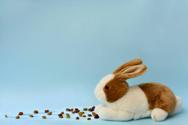 A plush white brown rabbit with pressed ears sits with paws close to a scattering of raisins. On the blue sky background at the bottom of the frame.