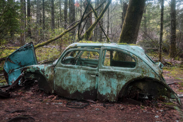 放棄されたフォルクスワーゲンビートルインザフォレスト - car old rusty scrap metal ストックフォトと画像
