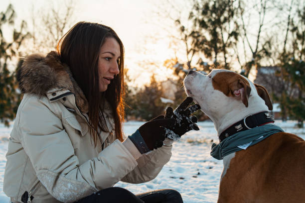 istock My dog is my best friend 1297088797