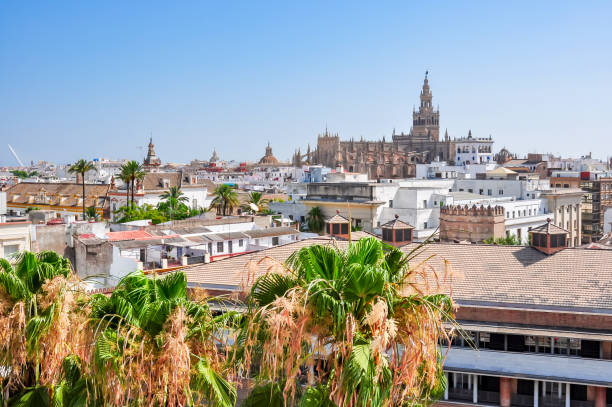 istock Seville Cathedral over old town, Spain 1297094009