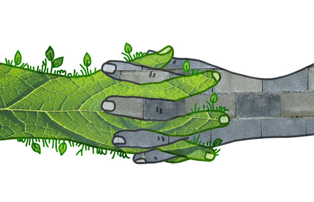 istock Built Wall and green Nature crossing and mixing Hands 1297095438