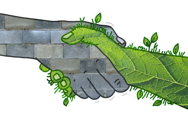 ビルトウォールと緑 の自然が握手 - holding hands teamwork gardening green ストックフォトと画像