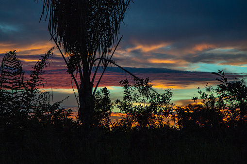 Riberalta, Bolivia. colorful and cloudy sunset in the jungle, palm trees.