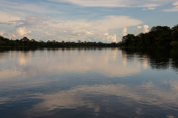 istock Cloudy sky reflecting on the lake with jungle in the Background 1297100397