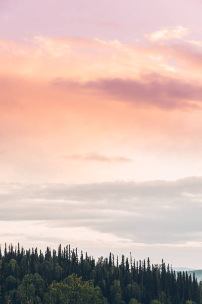 weather phenomenon in the sky, pink and purple nacreous clouds, forest landscape background