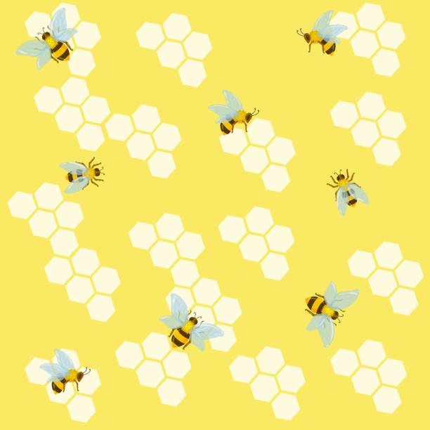 만화 스타일에 그려진 벌집. 간단한 필기 낙서 스타일 레터링. 천연 꿀벌 꿀. 편지와 작은 꿀벌 주위에. 흰색 배경에서 격리된 벡터 그림입니다. - honey hexagon honeycomb spring stock illustrations