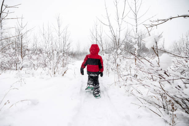 istock Little Boy Snowshoeing Outdoors in Winter During Snowstorm 1297103724