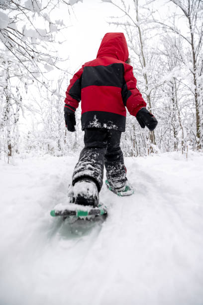 istock Little Boy Snowshoeing Outdoors in Winter During Snowstorm 1297103790