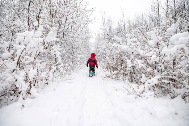 istock Little Boy Snowshoeing Outdoors in Winter During Snowstorm 1297104142
