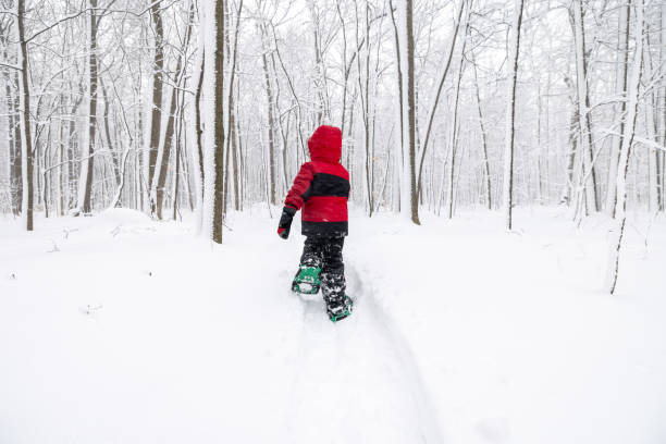 istock Little Boy Snowshoeing Outdoors in Winter During Snowstorm 1297104290