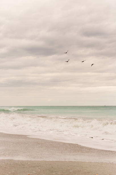 istock Birds Flying Over the Teal Ocean Waves Sweeping Across the Juno Beach, Florida Seashore at Mid-Day in January of 2021 1297105916