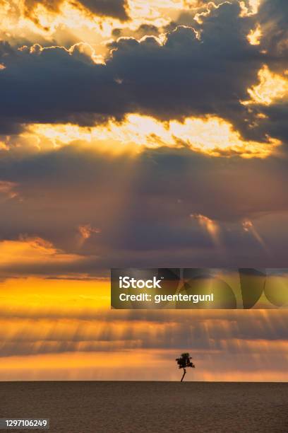 Dramatic Late Afternoon Light Over The Sahel In Northern Chad Stock Photo - Download Image Now