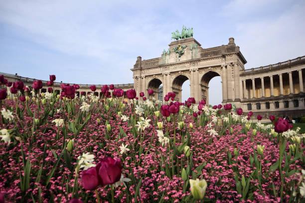 istock Arc de Triomphe in Cinquantenaire Park in Brussels, Belgium with blooming tulips in spring. 1297109248