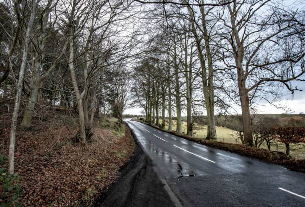 istock Countryside Of Rule Valley, Scotland. 1297109805