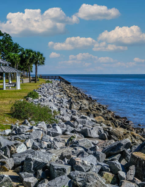 istock Rock Seawall Along Coastal Park 1297110015
