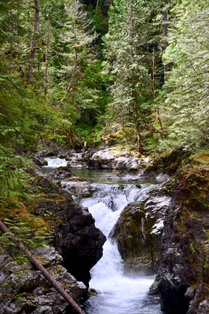istock LITTLE QUALICUM FALLS, VANCOUVER ISLAND, BRITSH COLUMBIA 1297114988