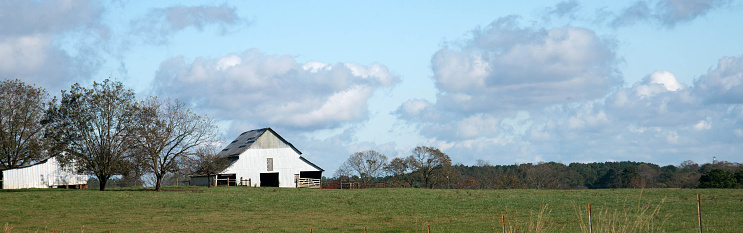 White barn and outbuildings representing a farm.