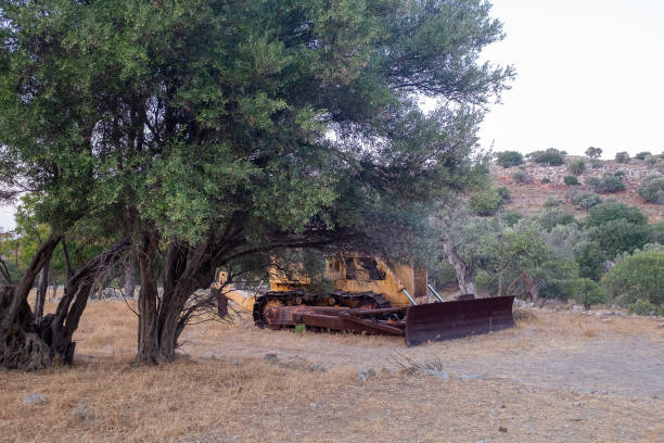istock Tilos, Dodecanese, Greece - August 04, 2019: Buldozer near the tree 1297116782