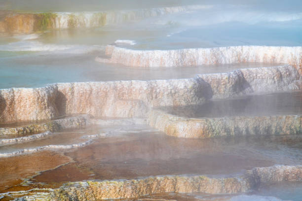 Steamy hot spring terrace at Mammoth Hot Springs, Yellowstone National Park, Wyoming, USA