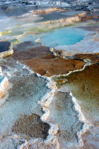 istock Colorful Terraces at Mammoth Hot Springs 1297117003
