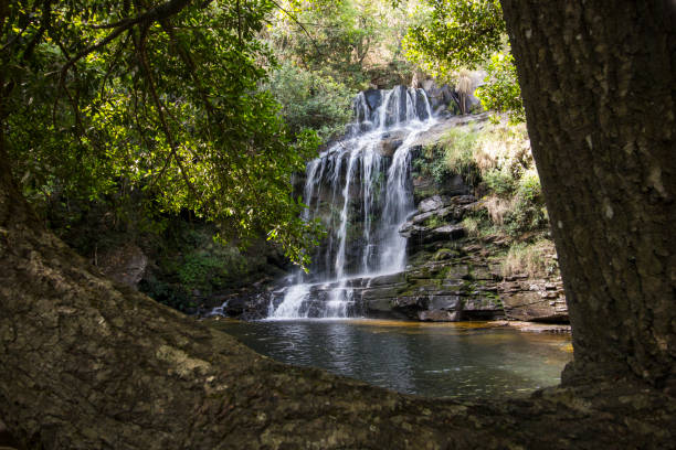istock Beautiful waterfall in sunny day - Brazil - Jan, 2018 1297121609
