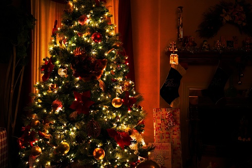 Tree at Christmas Eve