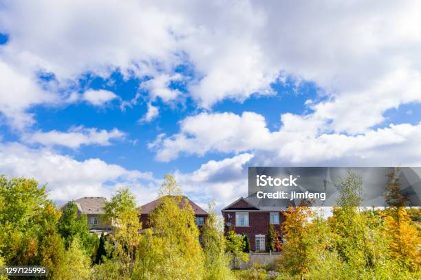 Colors Leaves On Both Sides Of The Vellore Village Community Road At Woodbridge In Vaughan Ontario Canada Stock Photo - Download Image Now