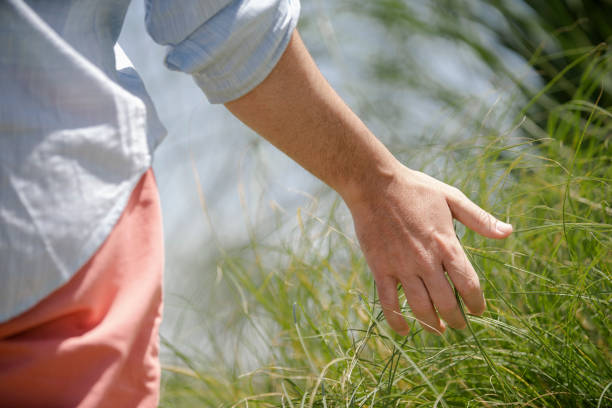 istock Young man caressing plants in a meadow during daytime 1297132064