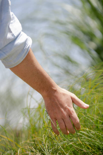 istock Close-up of man's hand touching grass 1297132069