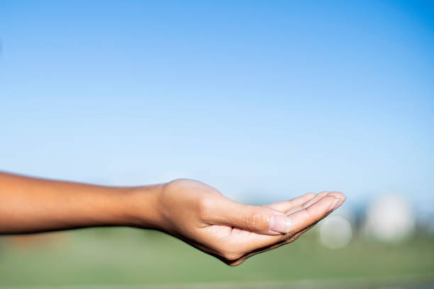 istock Close-up of cupped young woman's hand 1297132104