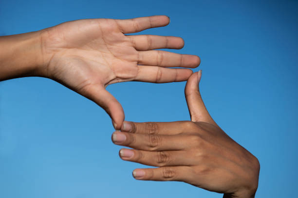Black Lady's Hands Holding Or Giving Something Invisible Isolated On White Studio Background. Panorama, Empty Space