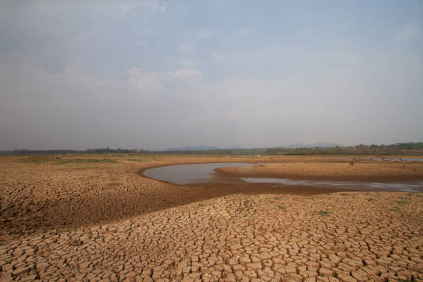 water crisis and drought River drying on summer. Drought impact on summer, no rain water on season. water crisis stock pictures, royalty-free photos & images