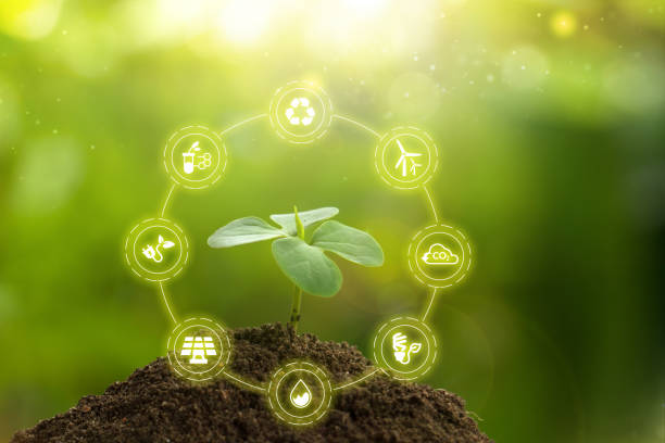 istock Environment friendly life and Renewable energy concept 1297144176
